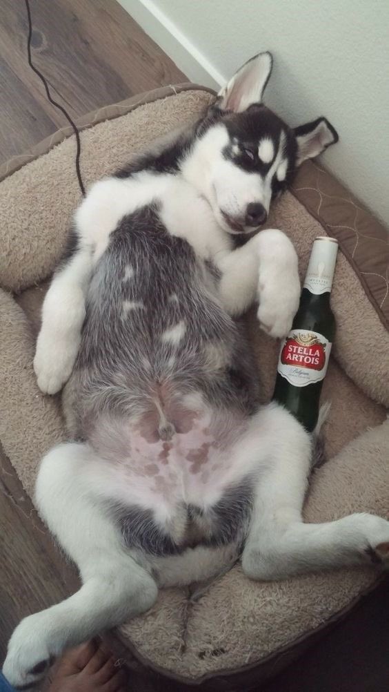 neverendintale's tweet photo. Just one of those days, you know… https://t.co/j3TLggP2c1