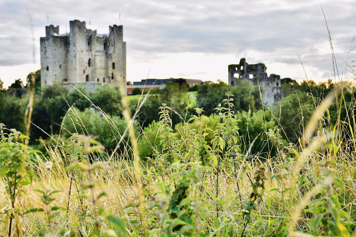 Andy Quinn tweet media