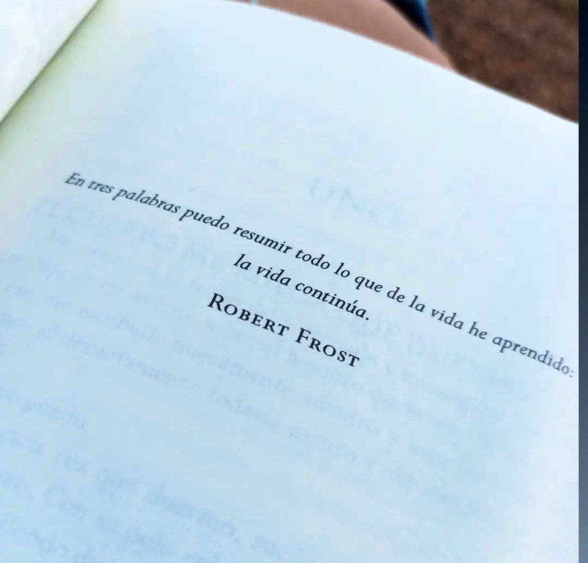 Cementedelibros's tweet photo. “En tres palabras puedo resumir todo lo que de la vida he aprendido:
la vida continúa.”
Robert Frost
#cementeriodelibros https://t.co/FbLjQDiiDR