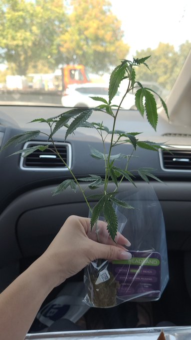 My first babyy https://t.co/ya0OG6rfJT<a href="/tag/newbie"class="tags"><span>#newbie</span></a>