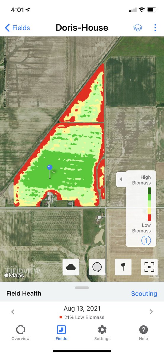 tgillett76's tweet photo. @farmerted71 @SyngentaUS @AGDKC_ECIL @Asgrow_DEKALB High mgmt and double fungicide block showing up in soybeans as well https://t.co/60MT1Ngth2
