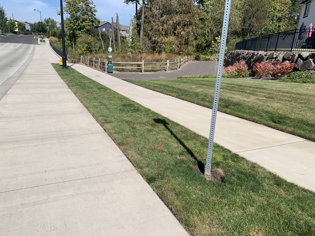 Peter Koonce tweet media