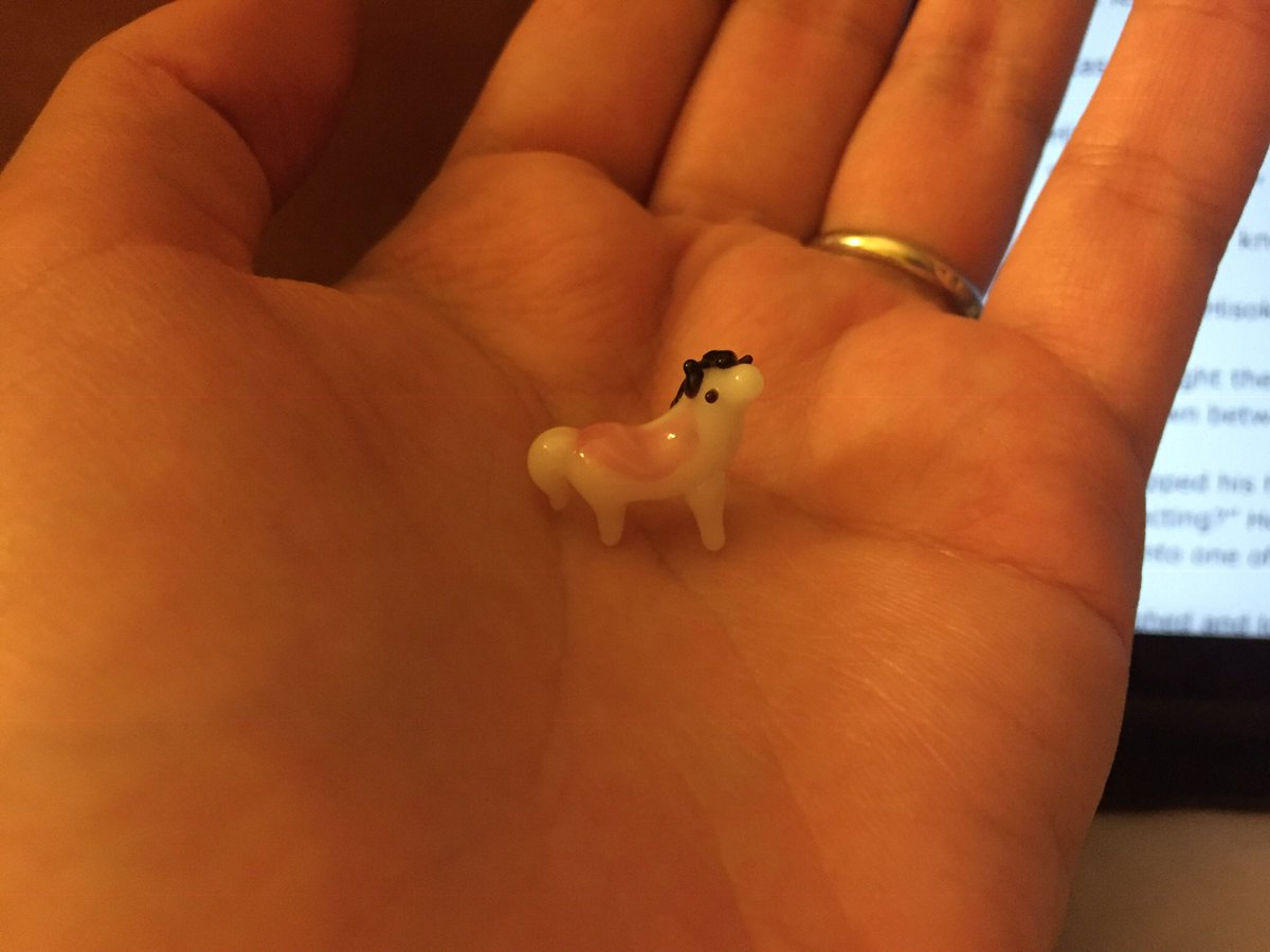 KiaEgbert's tweet photo. // Tiny horse? Yes. Yes. Tiny tiiinnnyyyy horse. 😭🥺💕 https://t.co/Z1AjawTCZl