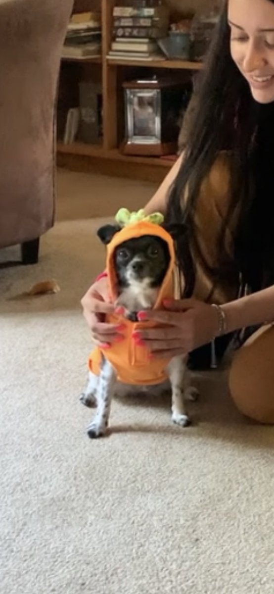 nidroj's tweet photo. lilo getting into the spirit 🎃 https://t.co/Xl445wnws4
