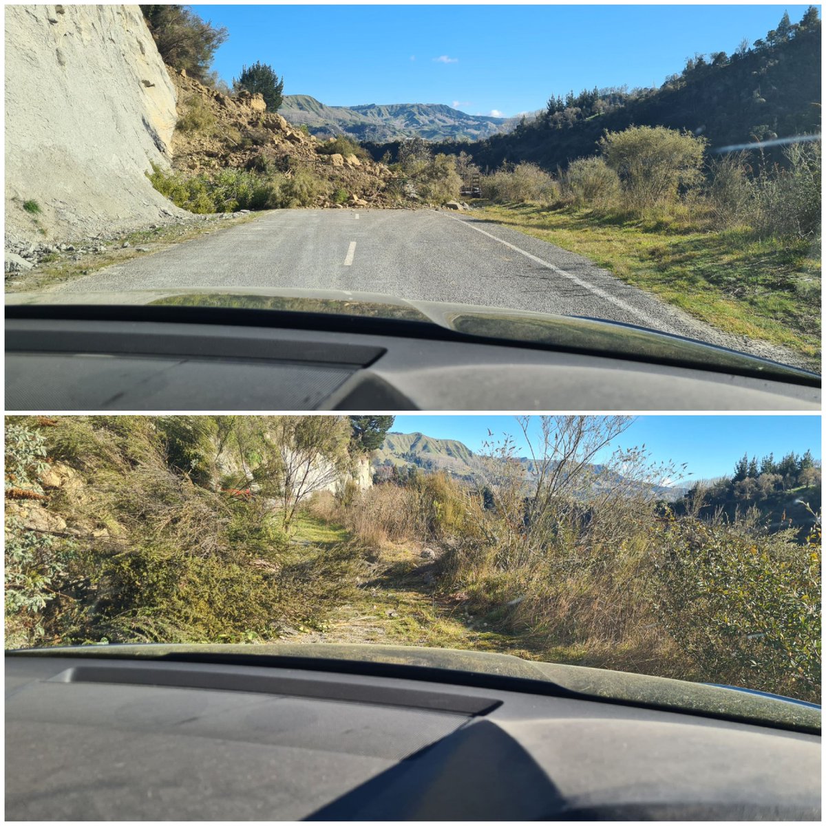 Shelley Dew-Hopkins tweet media