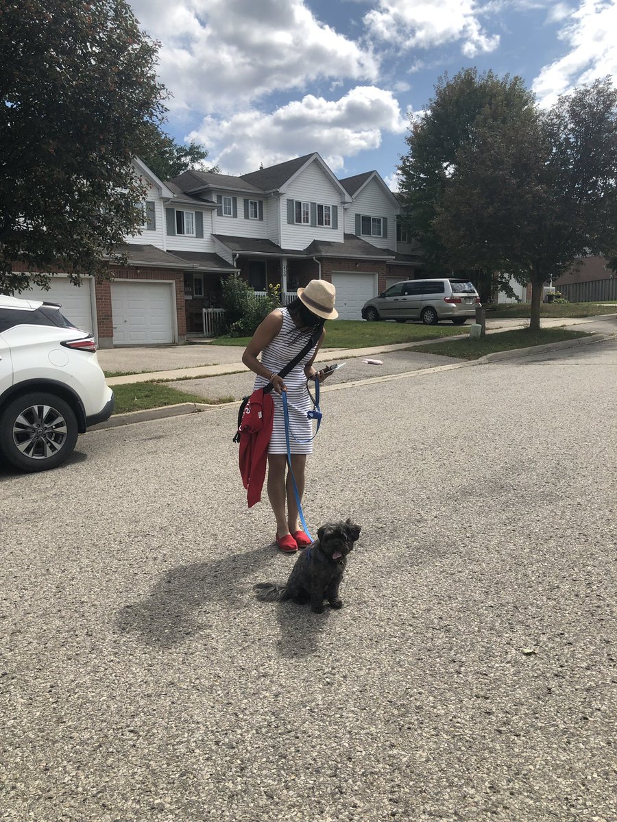 BardishKW's tweet photo. A huge pup-preciation goes out to Clark for giving #TeamChagger a helping paw at this afternoon’s canvass in #KWawesome! 🐾 https://t.co/p5eMF6LDc3