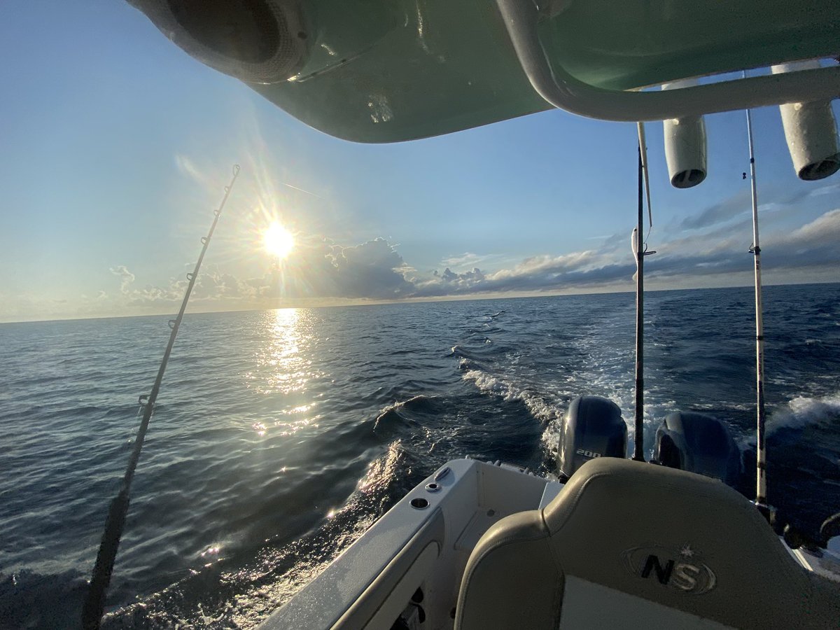 AnoviousG's tweet photo. Great morning in Florida https://t.co/GOorTTOD2z