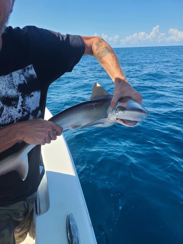AnoviousG's tweet photo. Great morning in Florida https://t.co/GOorTTOD2z