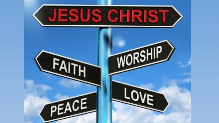 Ximena Soriano tweet media