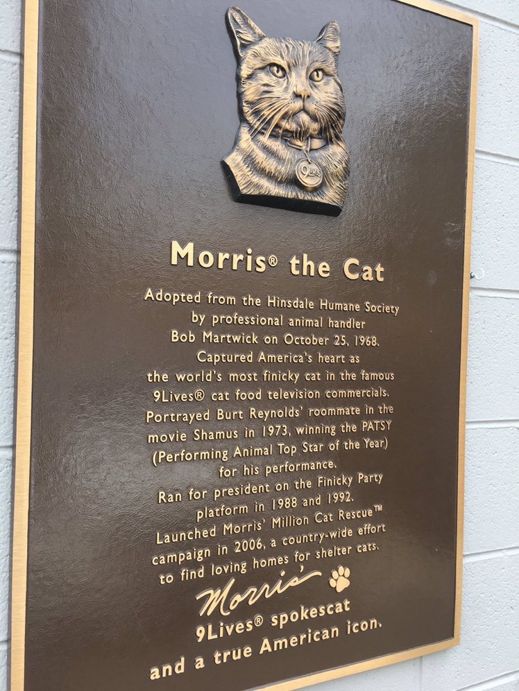 Super70sSports's tweet image. No steroids, played the game the right way. Discerning at the dish. Legend.