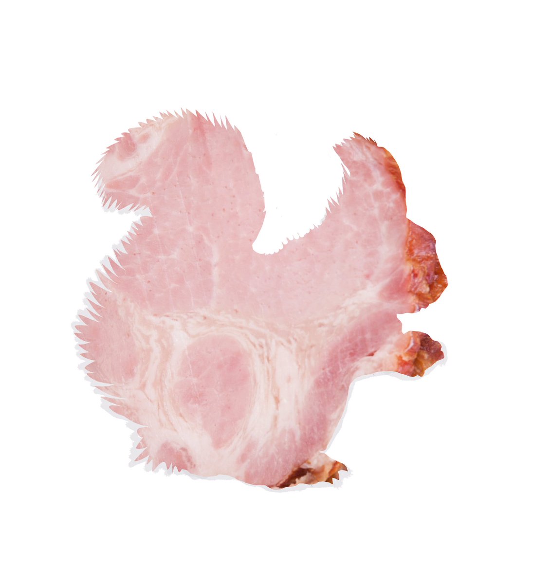 TreasvreTrove's tweet photo. I don’t want you to get too excited but this is coming soon to an adventure park near you, there’ll be enclosures, petting areas, special passes and an experimental breeding centre. It’s all meant to be a secret but I’m not good with secrets. 
#hamanimals 

@secretlyaveryf1 https://t.co/9oysdbyJxO