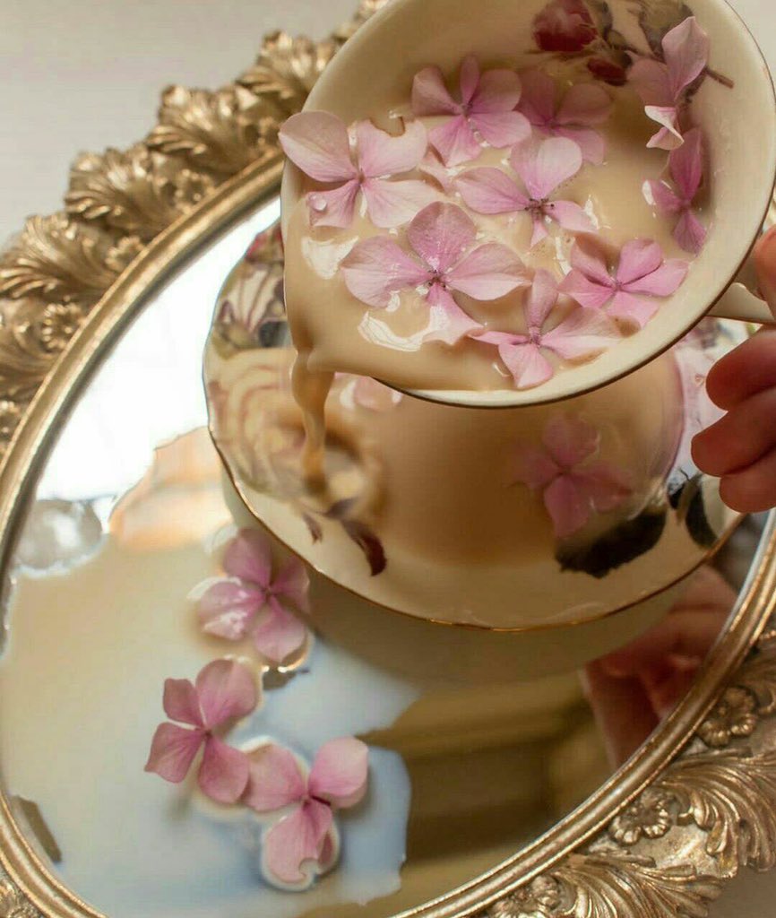 sa_9_88's tweet photo. الكلام أناقة .. فاختر كلماتك كما تختار ثيابك و عطرك .. فالنّاس توجعهم الكلمة القاسية و تُسعدهم الكلمة الطيبة ..
🎵🌸
#اسطول_زعماء_تويتر https://t.co/SwtjMBsXXc