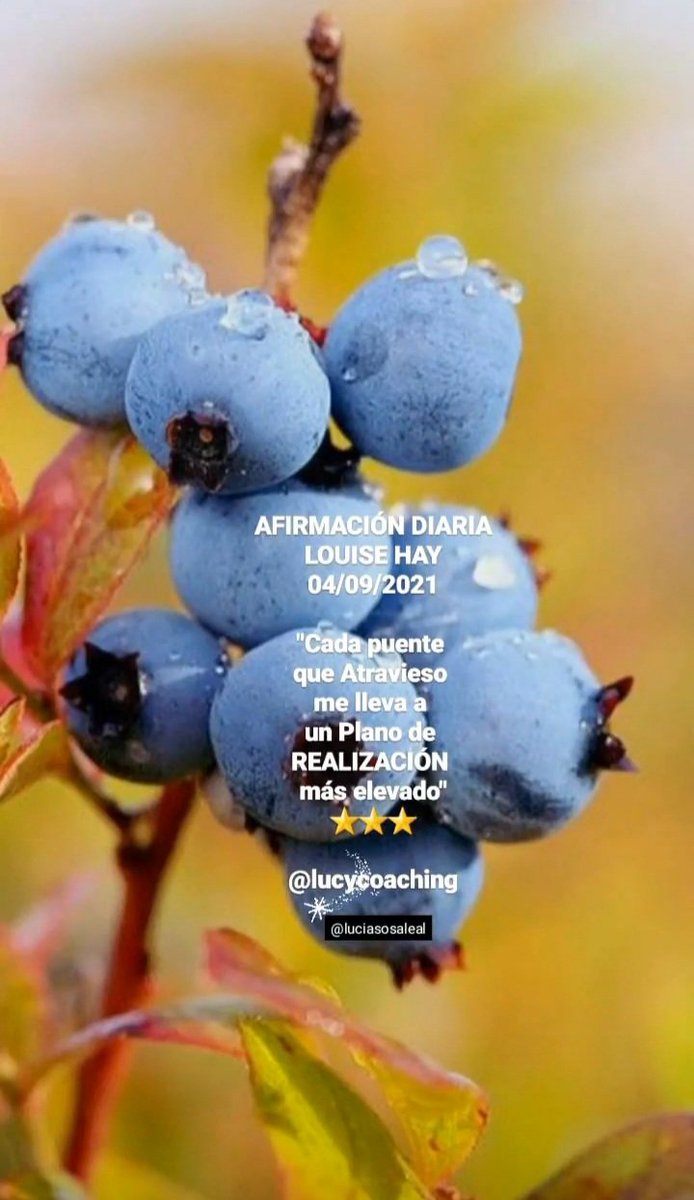 luciasosaleal's tweet photo. AFIRMACIÓN DIARIA
LOUISE HAY
04/09/2021

"Cada puente que Atravieso 
me lleva a un Plano de REALIZACIÓN más elevado"
⭐⭐⭐

@lucycoachingen #IG 
#AfirmaciónDiaria
#04Sept2021
#LouiseHay
#Ser
#Atravesar
#PlanosEspirituales
#Realización
#ConectarConElAmor
#CoachingOntológico https://t.co/FqcQrhg8SJ