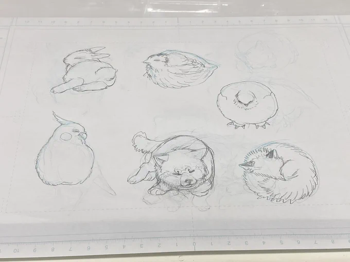 う〜んあと鳥系にするか動物系にするか… 