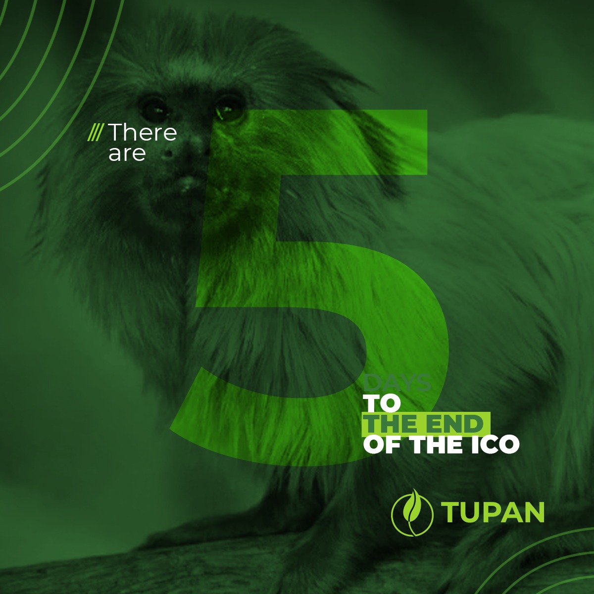 tupan_io's tweet photo. 5 DAYS LEFT UNTIL THE END OF ICO

I know you have already acquired some Tupans, 

but this great opportunity is to be APPROVED!

You will NEVER be at this moment again!

#tokencryptocurrency #tokencoin #tokenissuer #tokencreator #tokeneconomy #tokenfactory #tokenicoin #tokenuse https://t.co/NARMDbfVs9