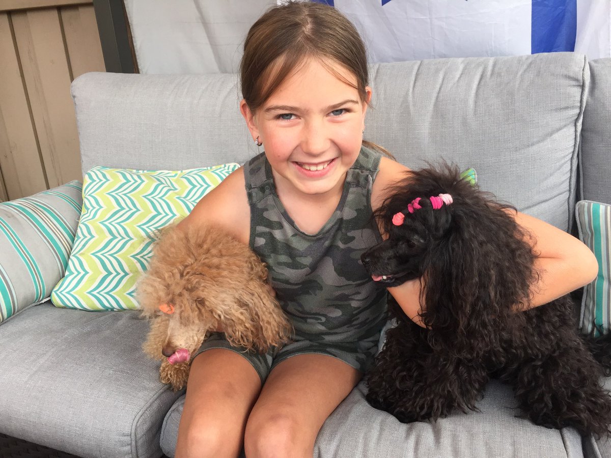 YRP's tweet image. STATEMENT FROM THE FAMILY FOLLOWING FATAL COLLISION IN VAUGHAN-  the family of 10-year-old Nikita has shared a statement regarding their tragic loss. yrp.ca/en/Modules/New…