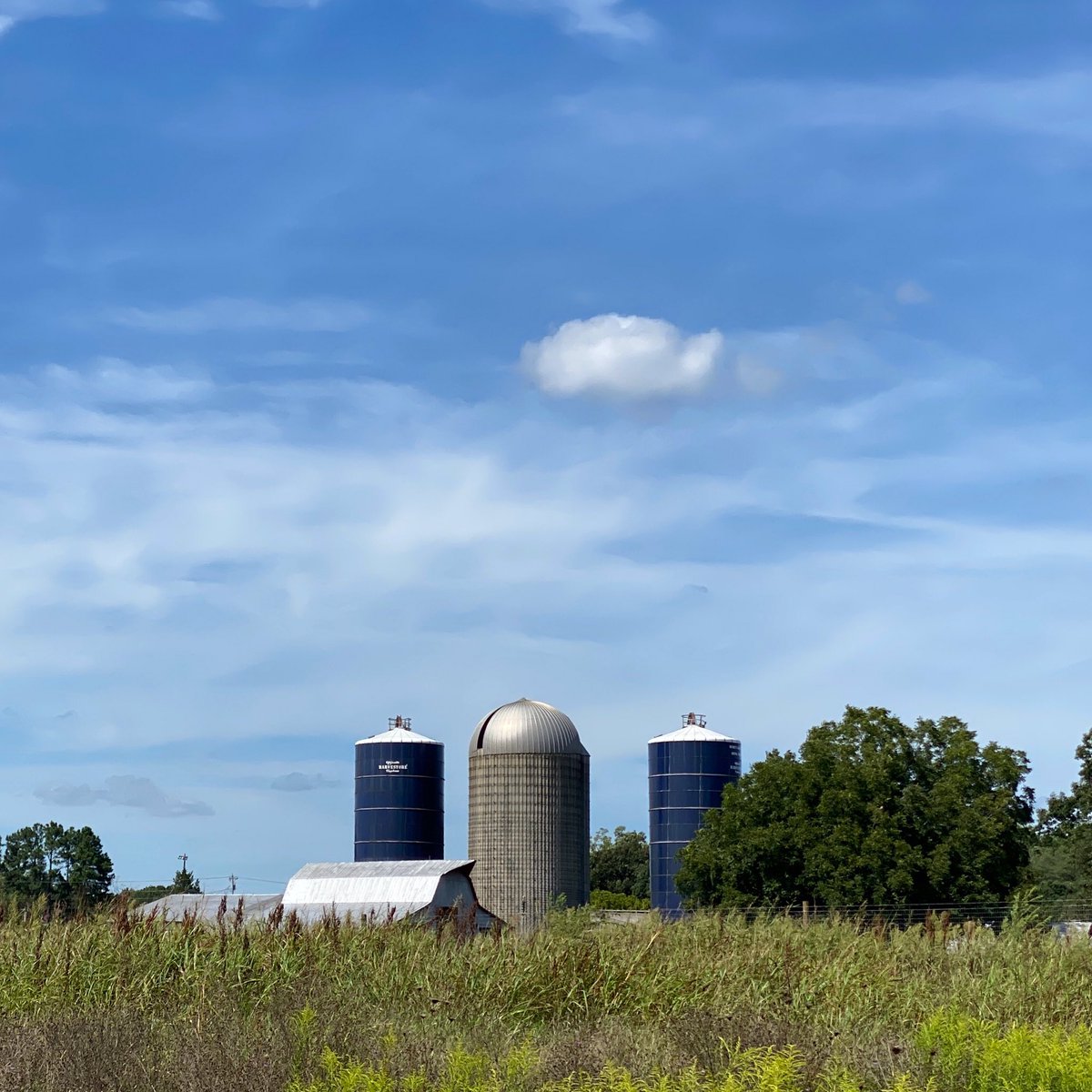 CathyLaDuke's tweet photo. Ride through the countryside .. #farmlife #gretna #pittsylvaniacountyva #Nikon #photography https://t.co/7MZcQAhZlz