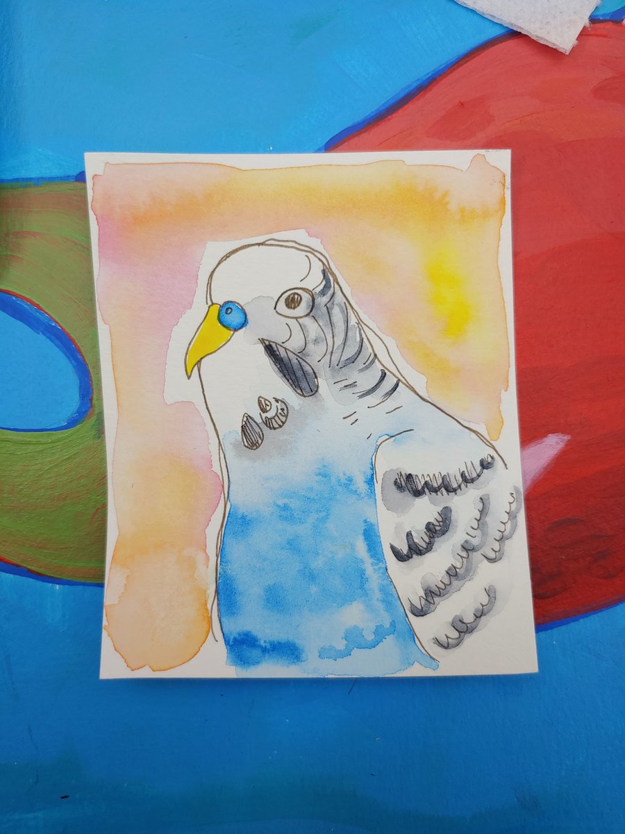 sebesx's tweet photo. a lil guy for my roommate :) https://t.co/6lJttpvsUU