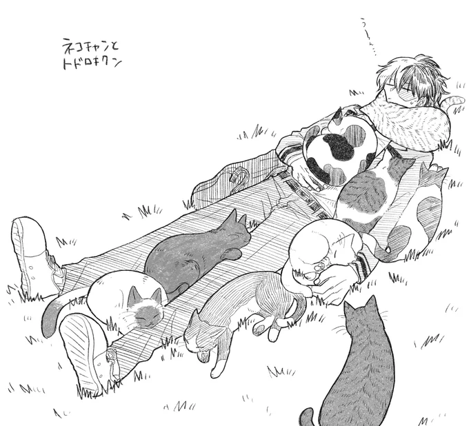 💥「おい、妖怪左半身猫塗野郎」 
