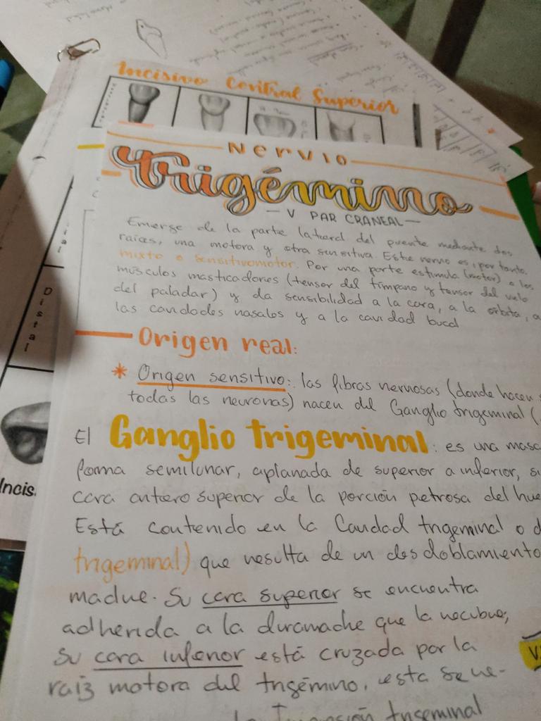 Miled_av's tweet photo. Ya quiero volver a clases presenciales para ser la morra de los apuntes bonitos 😩🤧 https://t.co/6b46kzGodC