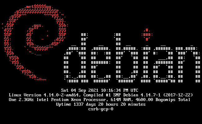 p3r1's tweet photo. My VM has reached #l33t uptime https://t.co/1x1IKNPyHY