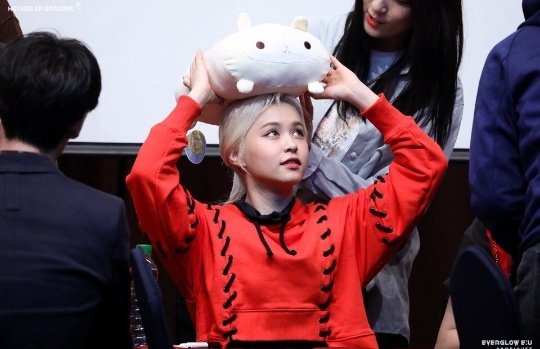 Everyway_twt's tweet photo. 𝑫𝒆𝒔𝒄𝒆𝒏𝒅𝒂𝒏𝒕𝒔 𝒐𝒇 𝒑𝒓𝒊𝒏𝒄𝒆𝒔𝒔𝒆𝒔 𝒂𝒏𝒅 𝒗𝒊𝒍𝒍𝒂𝒊𝒏𝒔, 𝕤𝕚𝕩 𝕝𝕚𝕘𝕙𝕥𝕤°✮↺ #KYUMI☄️
KM; al llegar me puse a jugar con el regalo por este #AKDONGCONCERT ya que #ThisIsOurStudio para @TWAKMU faitin o los como! https://t.co/xbXUuf1xP3