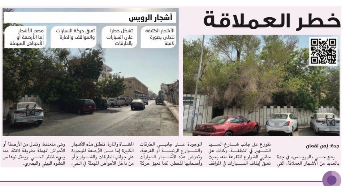جدة حي الرويس شارع السيد