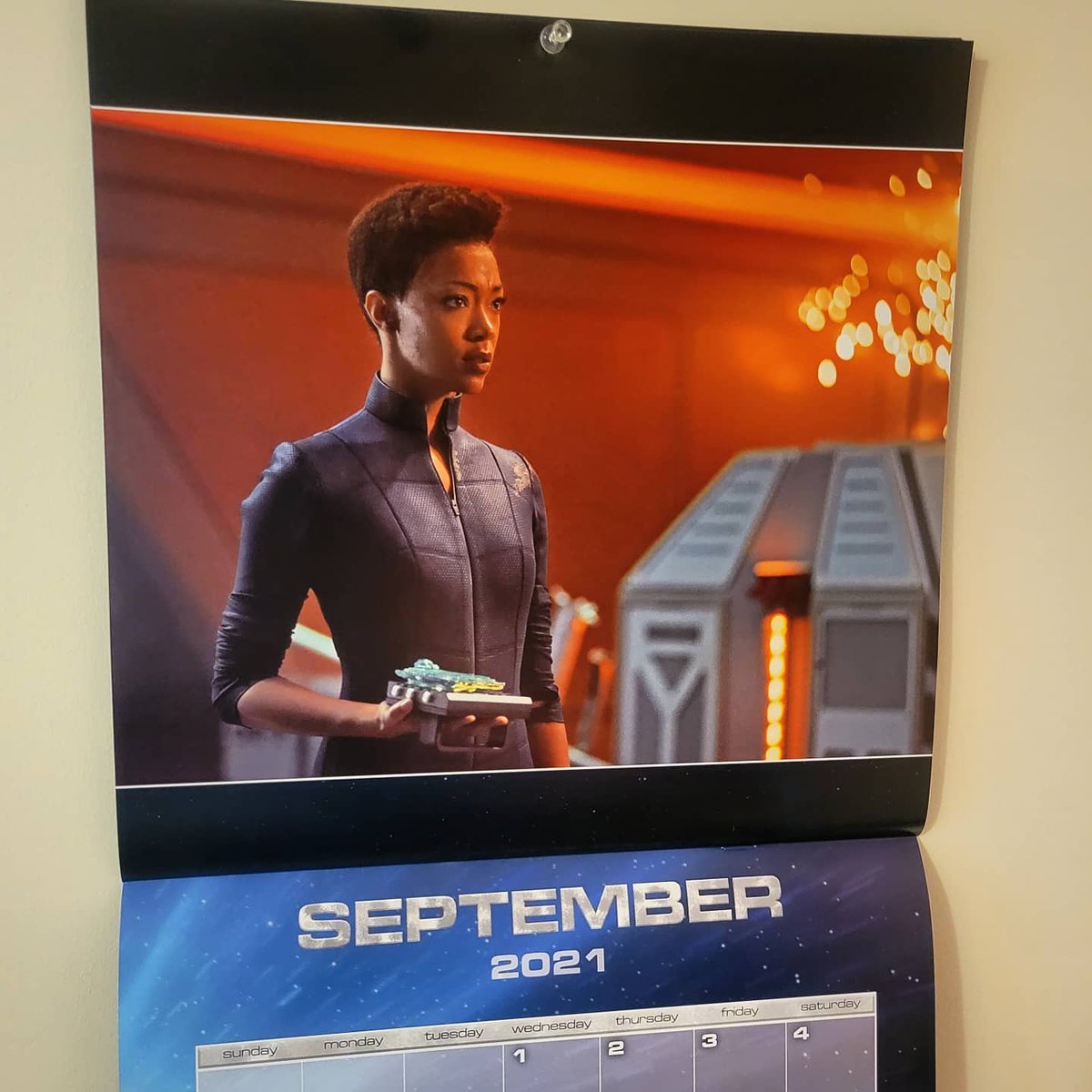Kertrats's tweet photo. A few days late (I just got home after over a month away!), but here is my monthly #calendarchange post! #calendarchangeday #startrek #startrekdiscovery #startrekpicard https://t.co/wJK3rHp5j5