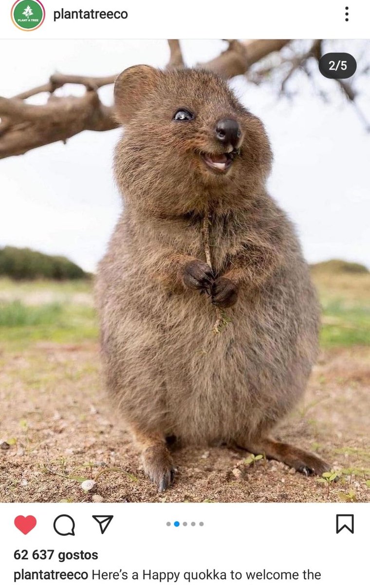 theumilk99's tweet image. Eu não tenho mais nada a acrescentar