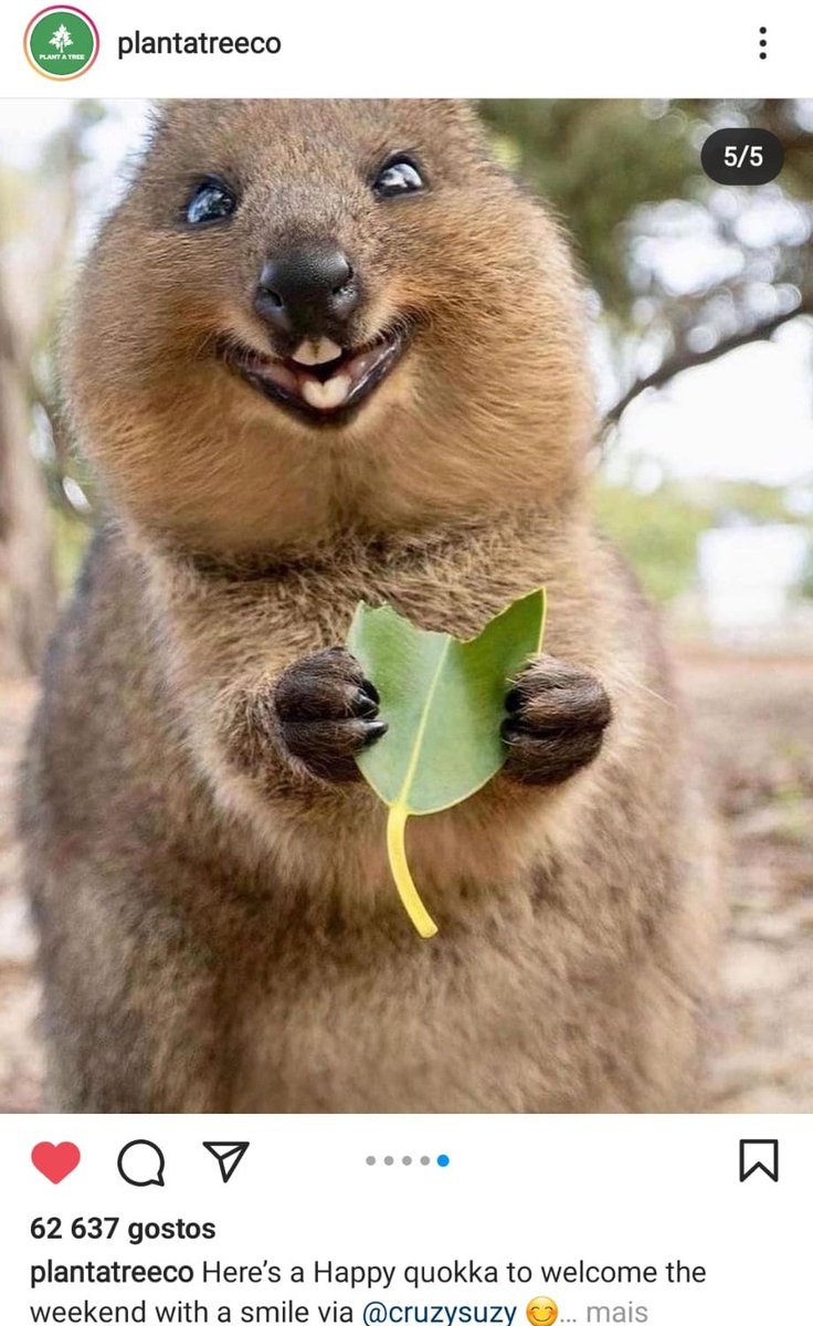 theumilk99's tweet image. Eu não tenho mais nada a acrescentar