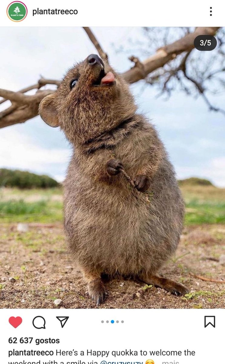 theumilk99's tweet image. Eu não tenho mais nada a acrescentar