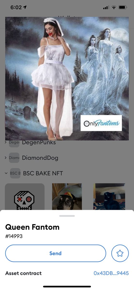 OnlyFantomsBSC's tweet photo. Original NFTs!!! https://t.co/YlF9xtKBOv