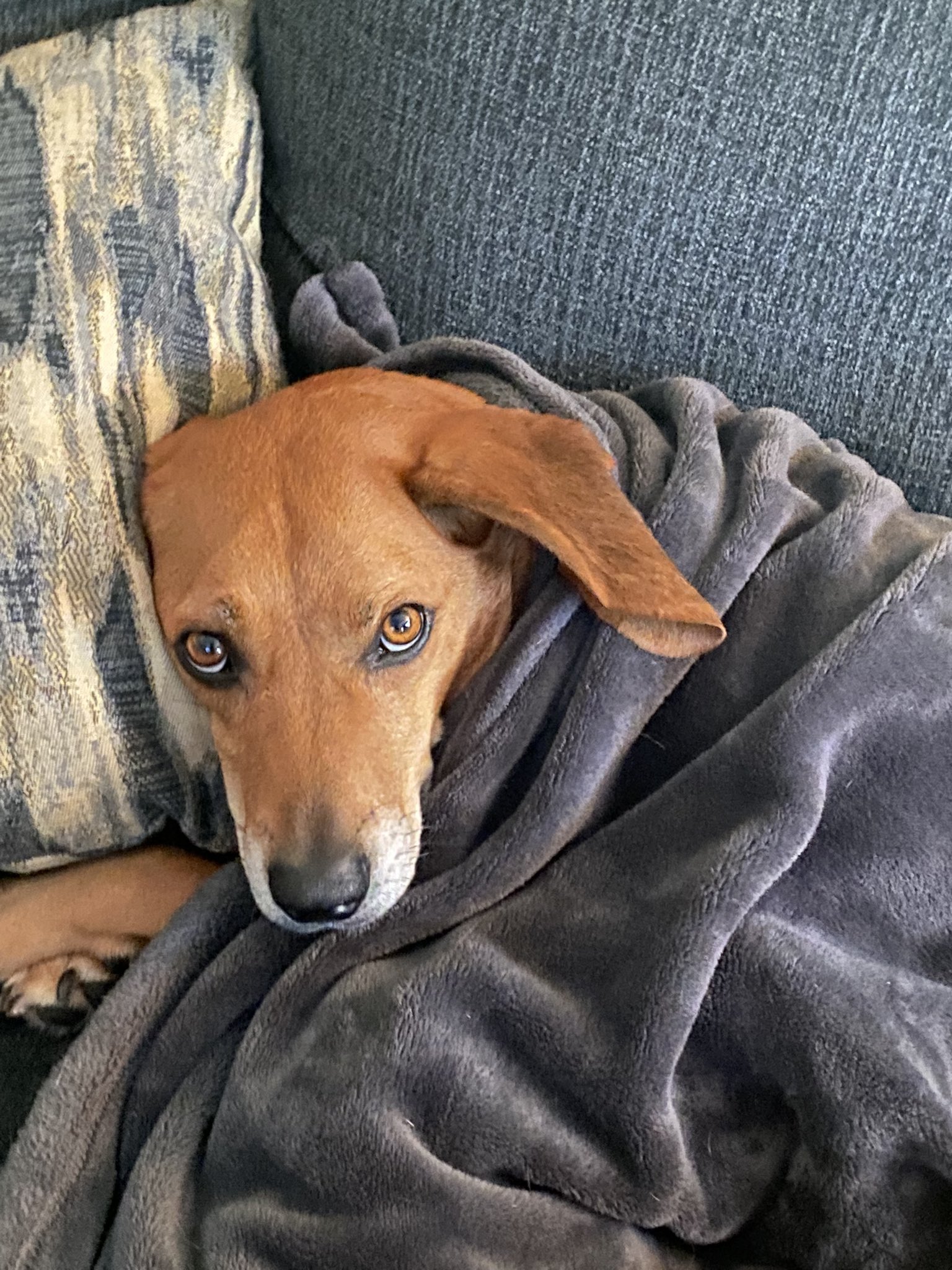 Matt Rudkin on Twitter: 