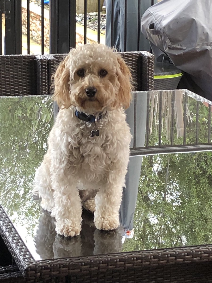 Who’s the king of the world?