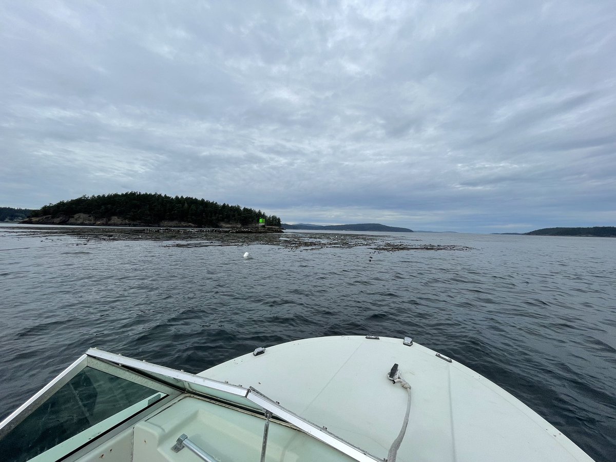 wweertman's tweet photo. Felt like sharing some fun pictures from the final few days of my just about a year and a half at @MarineBiol_FHL https://t.co/laZWTSbWyn