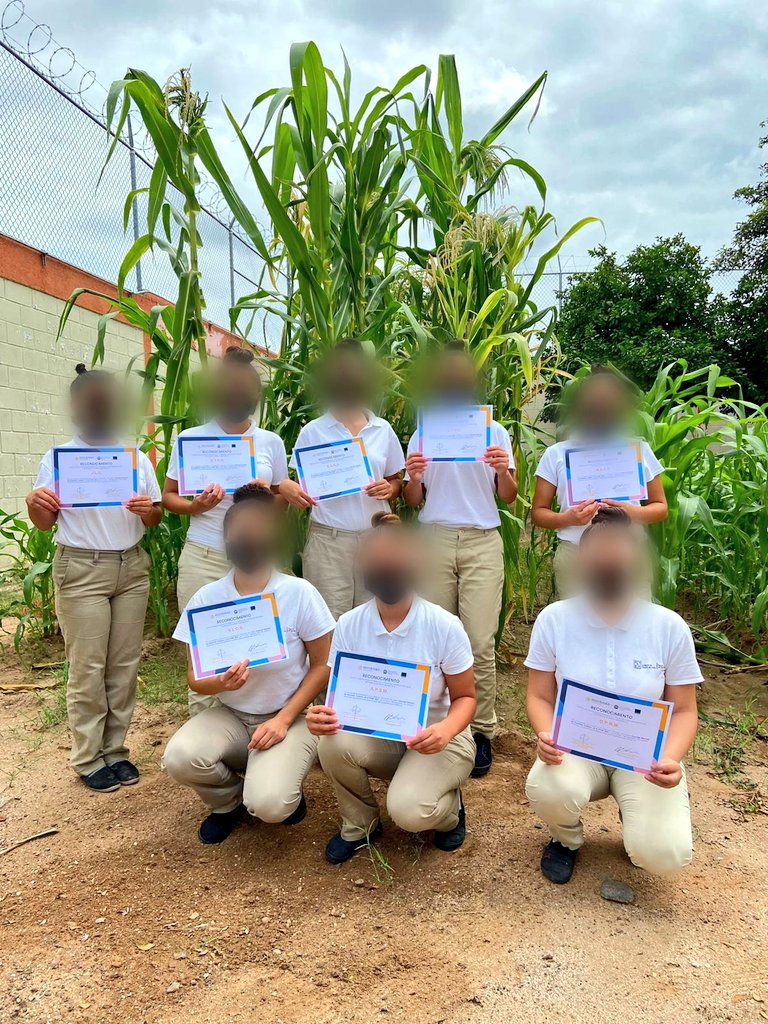 SonoraSeguridad's tweet photo. Sobresalen jóvenes Itama Sonora en concurso convocado por Justicia Juvenil Internacional, en el cual obtuvieron el 1er lugar en Escritura-Poesía y 2do lugar en Hip Hop.

Ejemplo de superación  y perseverancia.

👍Enhorabuena 🥇🏆🥈 https://t.co/QqP2gro1r8