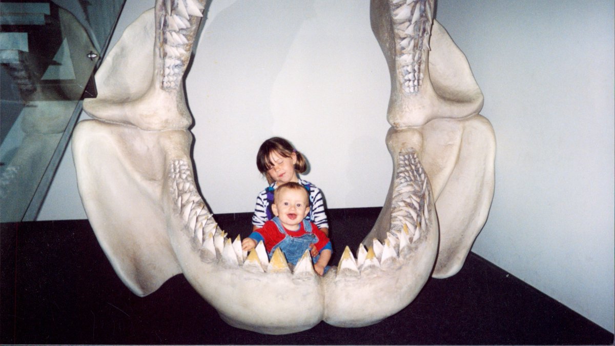 wednesday__d's tweet photo. Day 3 of #SciCommSeptember! #WhySTEM? I absolutely love learning about how our world works and how it is changing around us! I've loved learning and exploring our oceans since I was little and now I'm a marine biology student and get to do it everyday! #WomeninSTEM #WIMMS https://t.co/eQ8P7O7tF9
