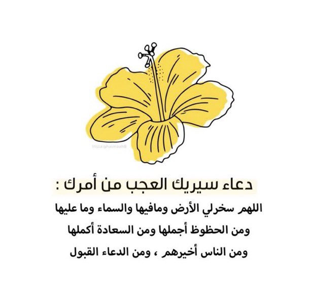 mansoouar's tweet photo. اللهم افتح بيني وبين رزقي وجبري 
وتوفيقي فتحًا مبينًا وأنت خير الفاتحين https://t.co/r8ISFSxXhY