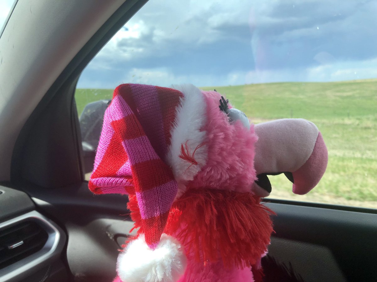 ExtremeRVing's tweet photo. @always_hye @KeystoneRVCo #FollowFancy has been on the lookout for you. He ran into s mutual friend snd wanted to tell you all about it! 😂 Hopefully we’ll get down to your neck of the woods & have a chance to catch up! Miss you! #rvlife #FriendsForever #leaveordinarybehind https://t.co/PyrgOkLRVn
