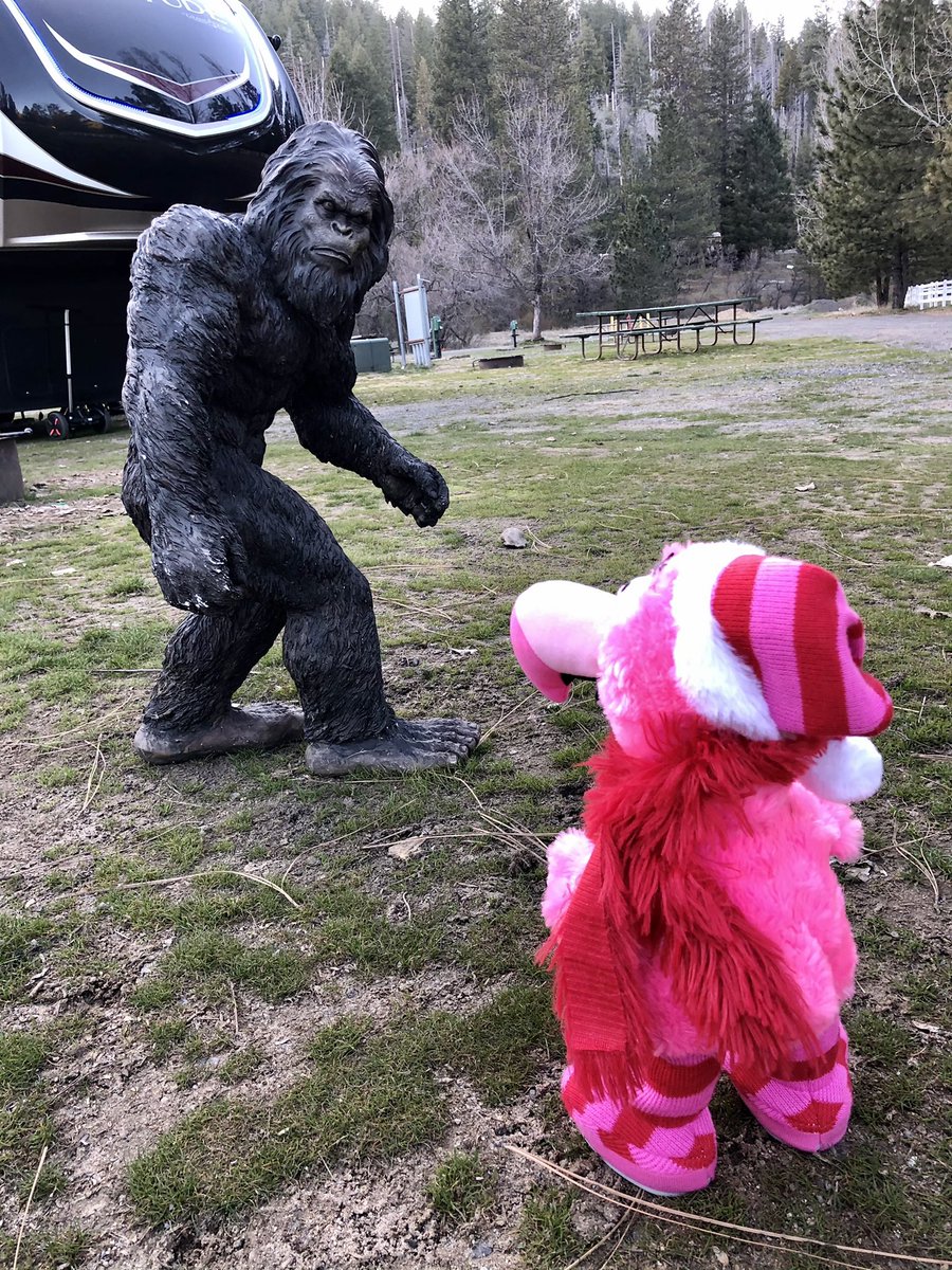 ExtremeRVing's tweet photo. @always_hye @KeystoneRVCo #FollowFancy has been on the lookout for you. He ran into s mutual friend snd wanted to tell you all about it! 😂 Hopefully we’ll get down to your neck of the woods & have a chance to catch up! Miss you! #rvlife #FriendsForever #leaveordinarybehind https://t.co/PyrgOkLRVn