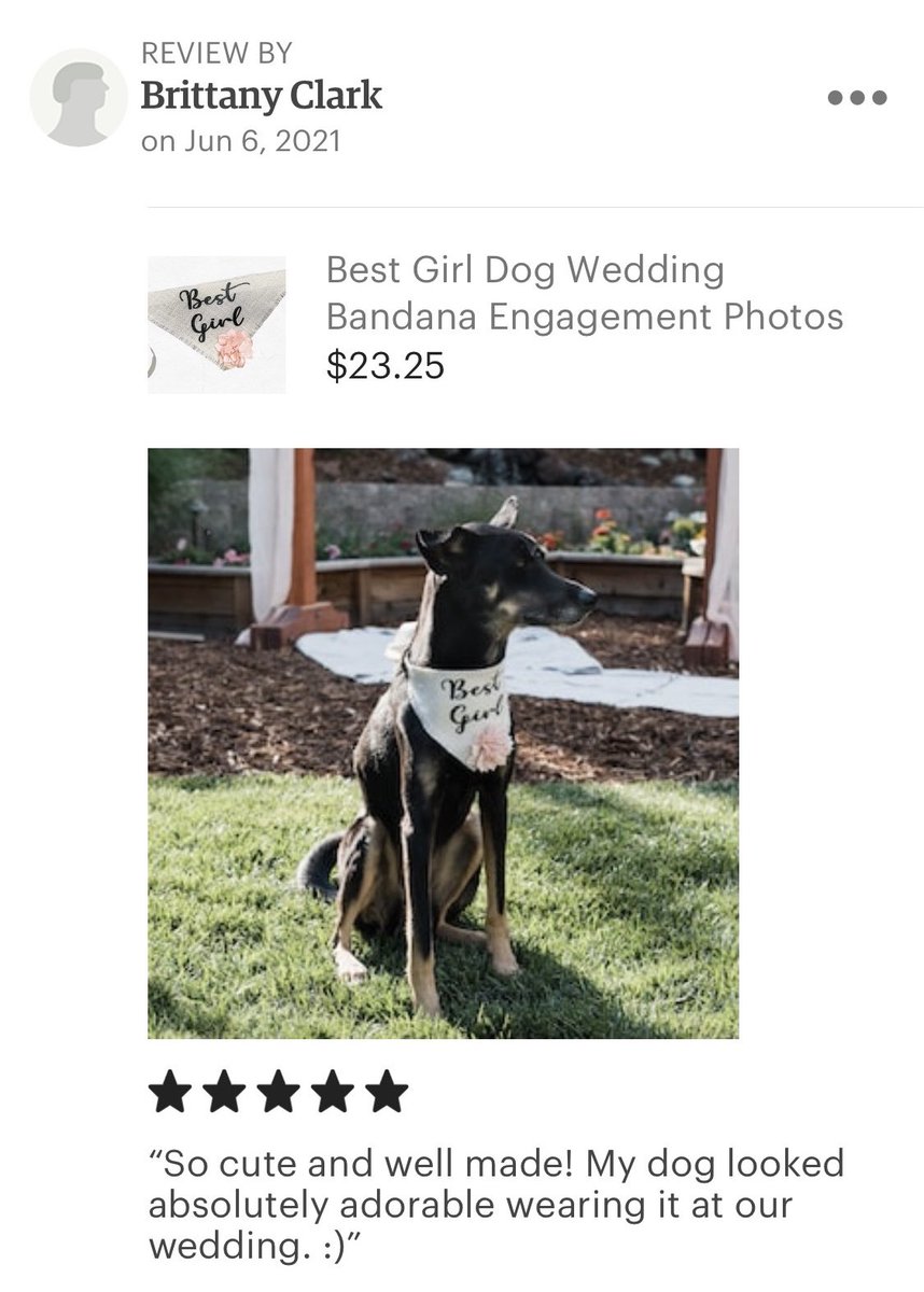 HelloHazelCo's tweet image. What a sweetheart !! And a great addition to the wedding of course. There’s nothing like reading kind reviews from happy customers, especially when they include such lovely pupper pics! Thank you Brittany 🐶💖✨
_______________

#dogs #etsyseller #etsyshop #handmade #wedding