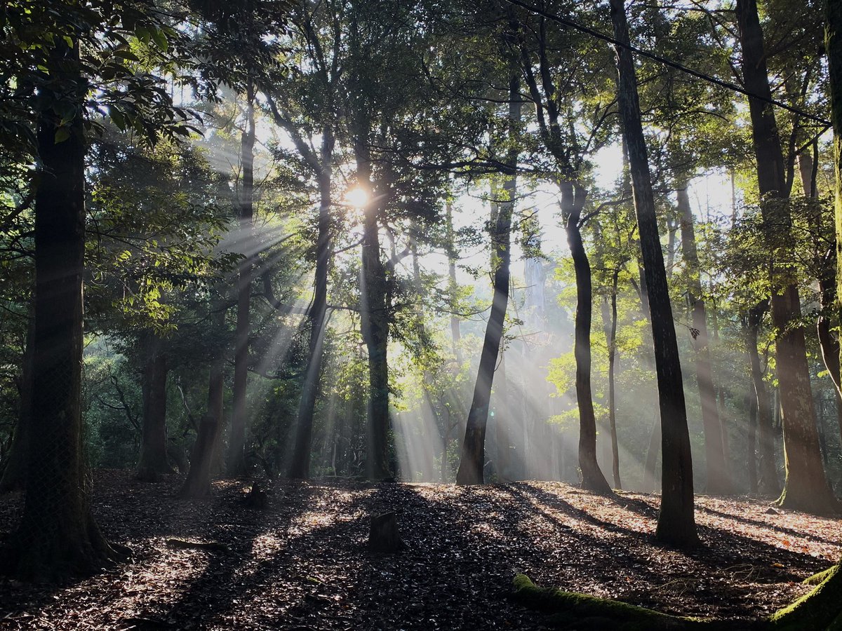 美しい😊 なお、鹿は居ない😵‍💫
taken by iPhone