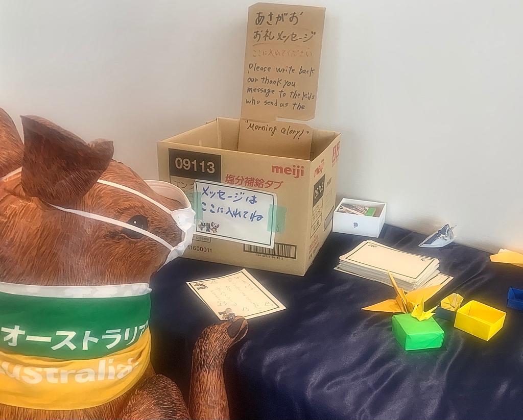 AustraliaInJPN's tweet photo. #朝顔 の花が東京パラリンピックのあちこちの会場で出迎えてくれます。「スキッピー」🦘は感激し、花を育ててくれた学校の子どもたちに感謝のメッセージを書きました。いろんな色の花と幸せな気分を届けていただき、ありがとうございます！
#Tokyo2020 #Paralympics #AusRally @AUSParalympics https://t.co/Y6ebROibvG