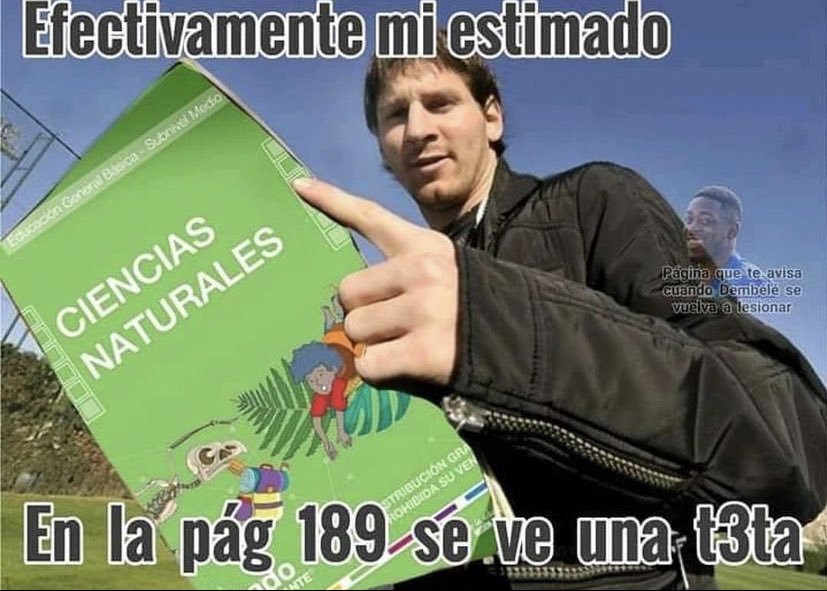 Mr.cheeseburger tweet media