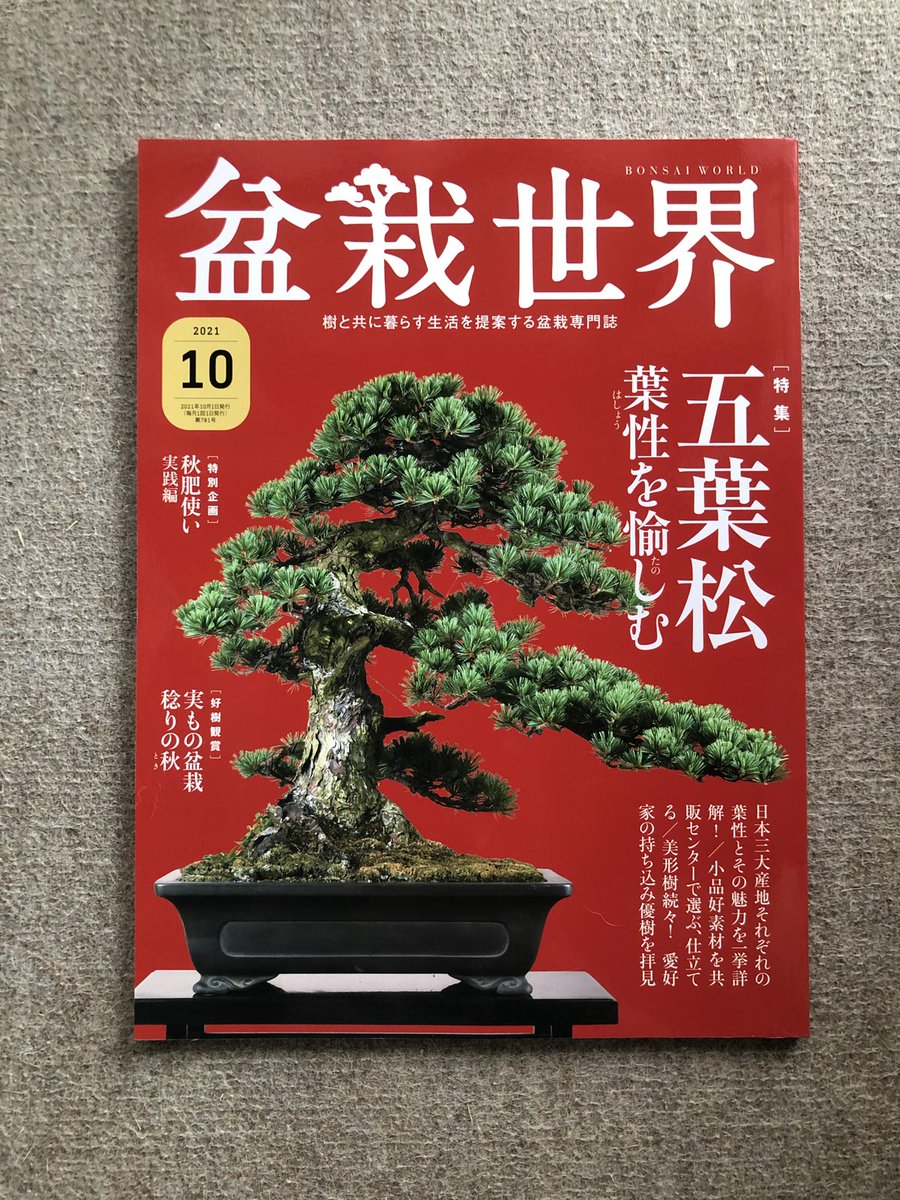 【盆栽世界10月号発売中!】
樹と共に暮らす生活を提案する盆栽専門誌『盆栽世界』最新号は9/3(金)発売済。
今回の #水やる は「盆栽を手放す」。人から人へ渡るのも盆栽の特徴ですよね。私はまだまだ増える一方ですが…。
本誌特集は五葉松。ぼんさいやあべさん @bonsaiabestyle のお話も!
