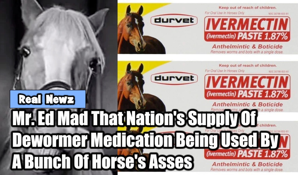 BlueStateWaveZ's tweet image. 