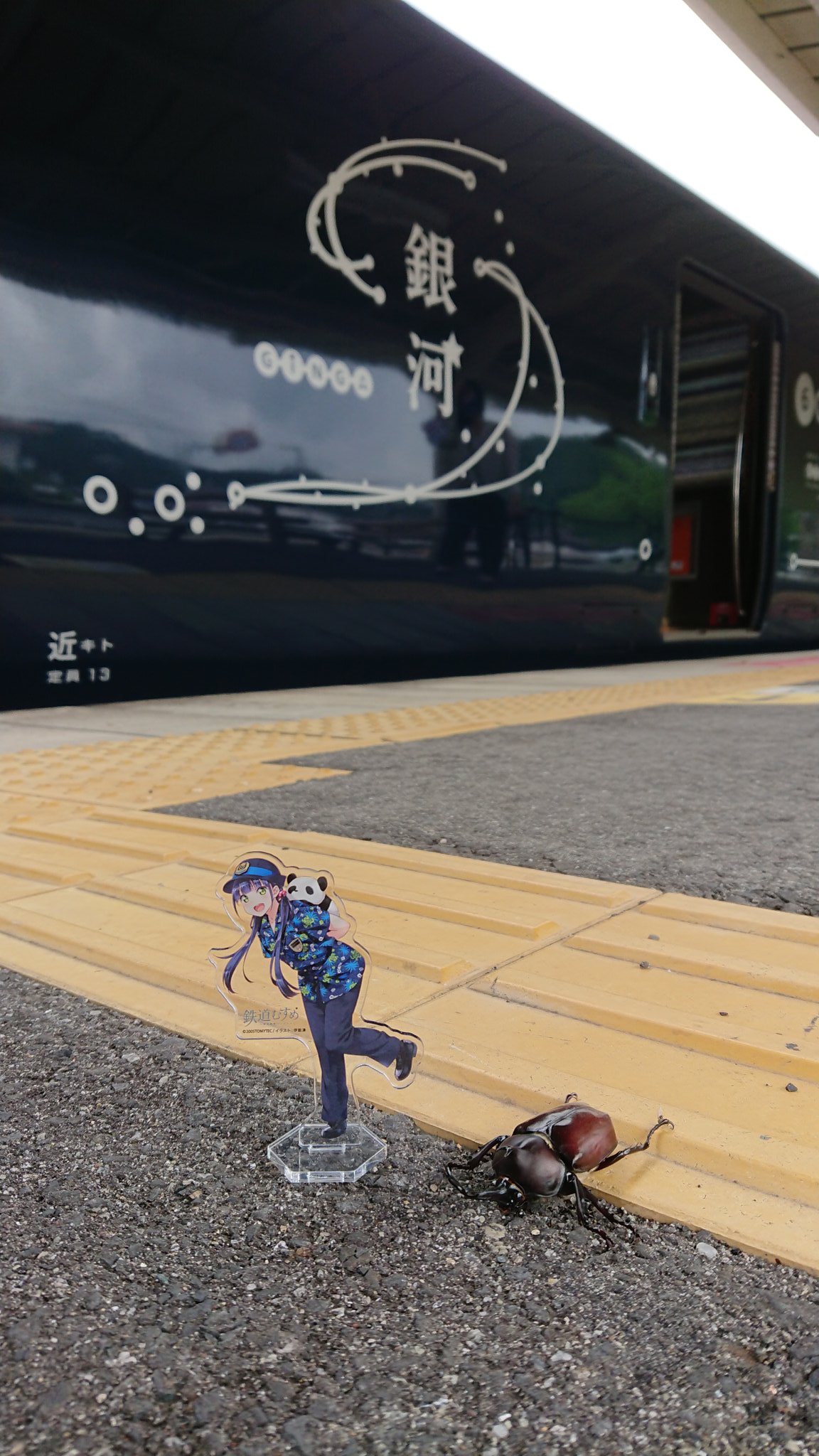 黒潮しらら通信 Jr西日本和歌山支社 中島pです いつかの Westexpress銀河 In 紀伊勝浦駅 カブトムシ も一緒に お出迎え 駅のホームにカブトムシがいた 夏の思い出 鉄道むすめ 黒潮しらら きのくに線 おもてなし 奇跡 夏 Summer