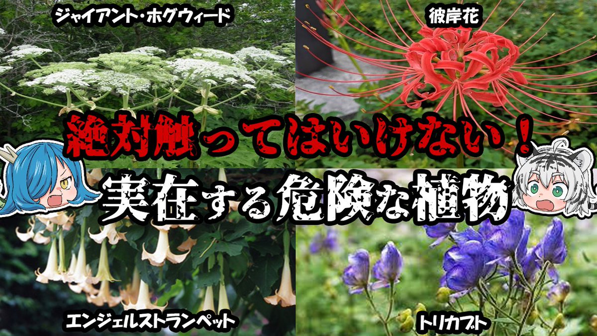 四獣チャンネル Fourbeastsch تويتر 四獣チャンネル Fourbeastsch تويتر