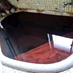 ツイートに含まれる画像