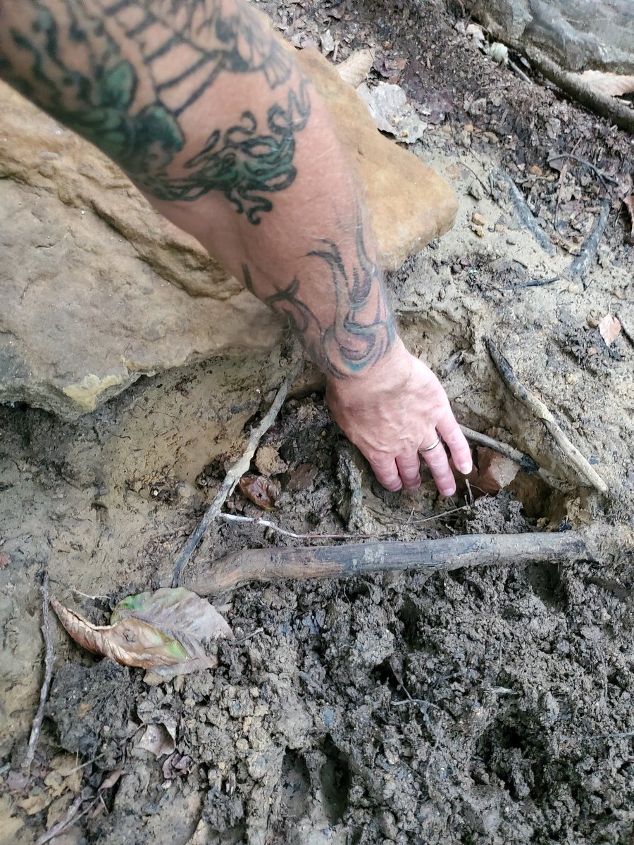 ELulek's tweet photo. The deer sure are tearing up these #BioRock mineral sites.... this is my 4th Biorock this yr & fig'd I'd try a @MossyOak mineral block with it this time.. we'll see..😁 https://t.co/kWjZwvqkxt